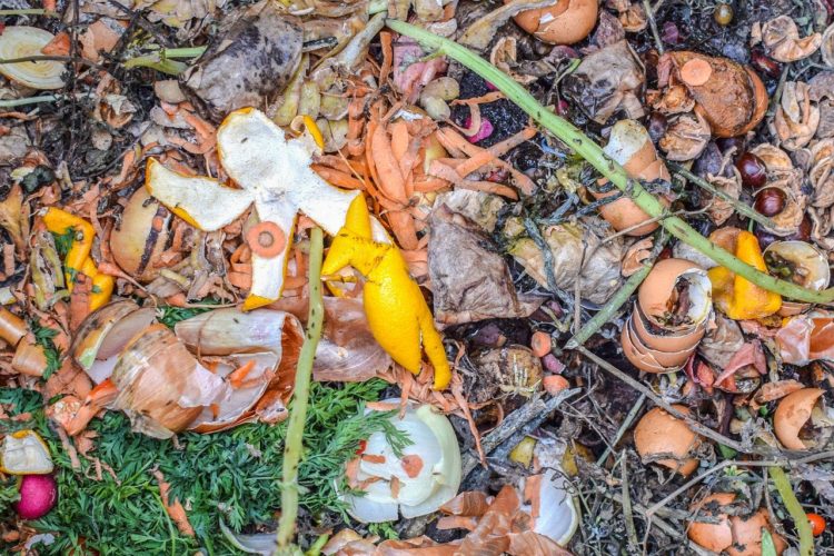 Why does my compost smell bad? Compost Guide