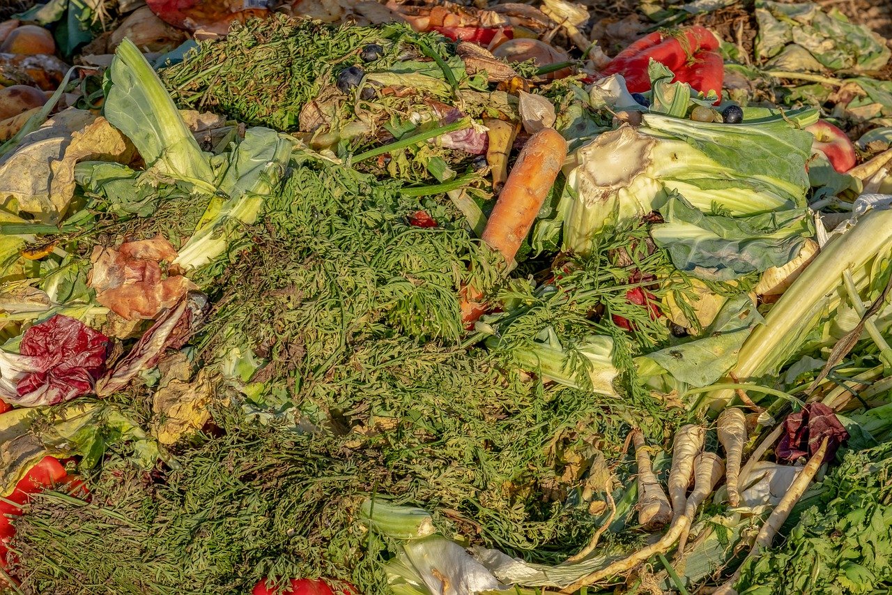 Can you put leftover food in compost? Compost Guide